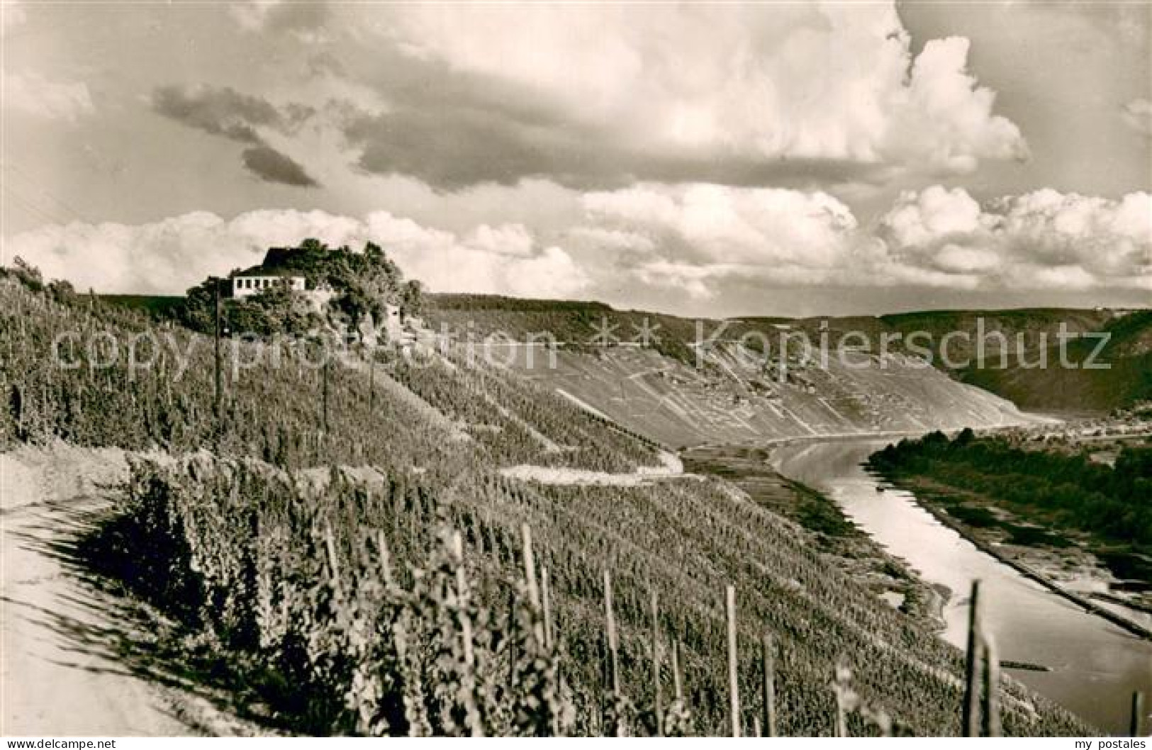 73747499 Zell Mosel Berghotel Marienburg Panorama Zell Mosel - Sonstige & Ohne Zuordnung