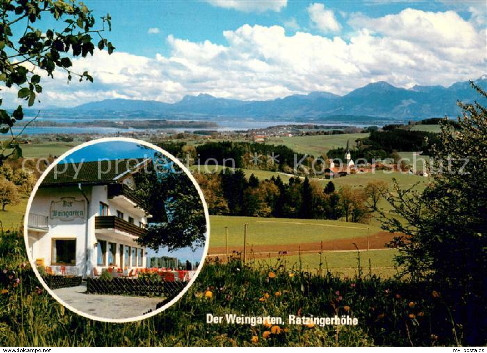 73747129 Chiemsee Blick Vom Weingarten Mit Ratzingerhoehe Chiemsee - Sonstige & Ohne Zuordnung