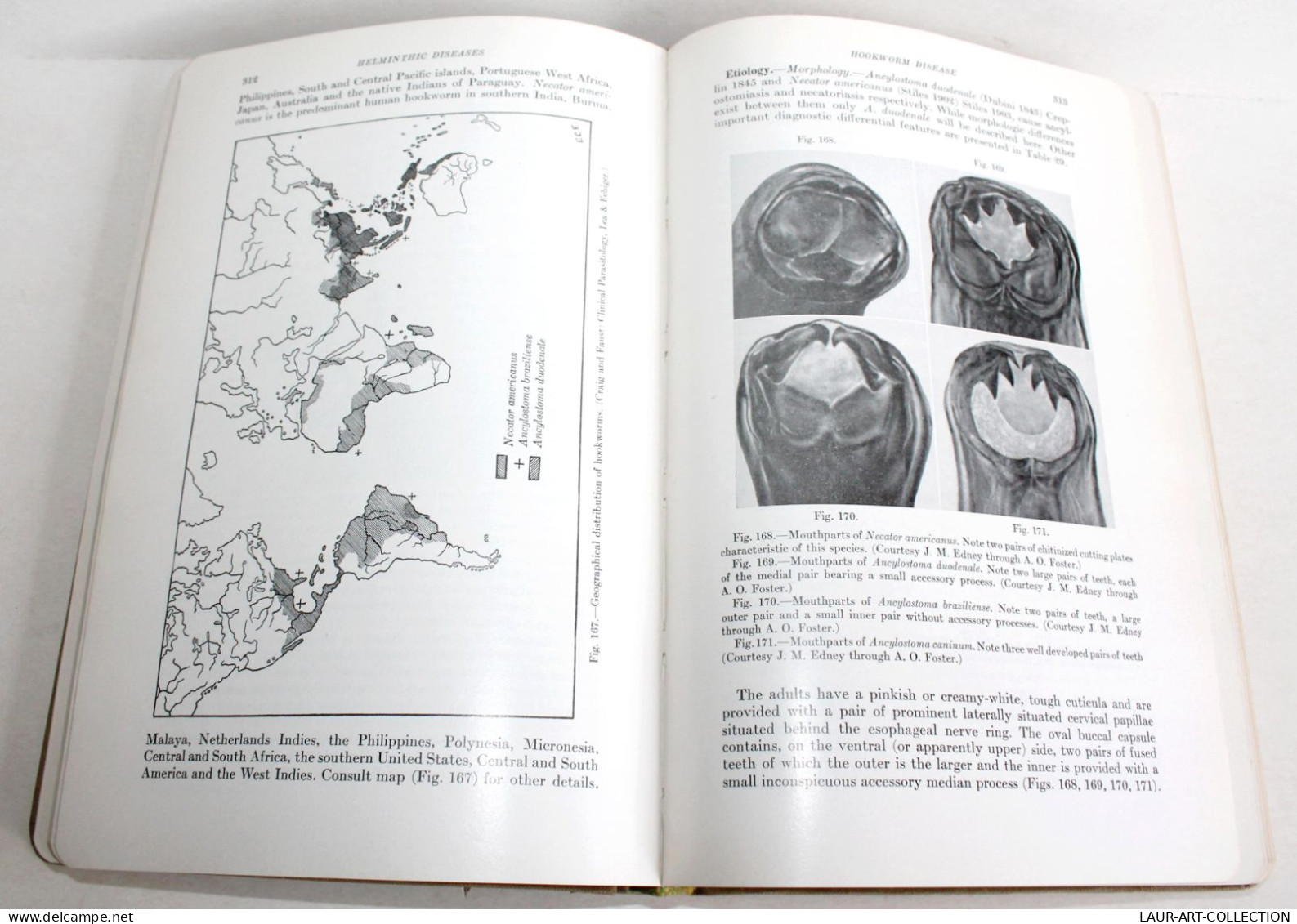 MEDECINE MILITAIRE! MANUAL OF TROPICAL MEDICINE / MACKIE.. 284 ILLUSTRATION 1945 / ANCIEN LIVRE XXe SIECLE (2603.133) - Health