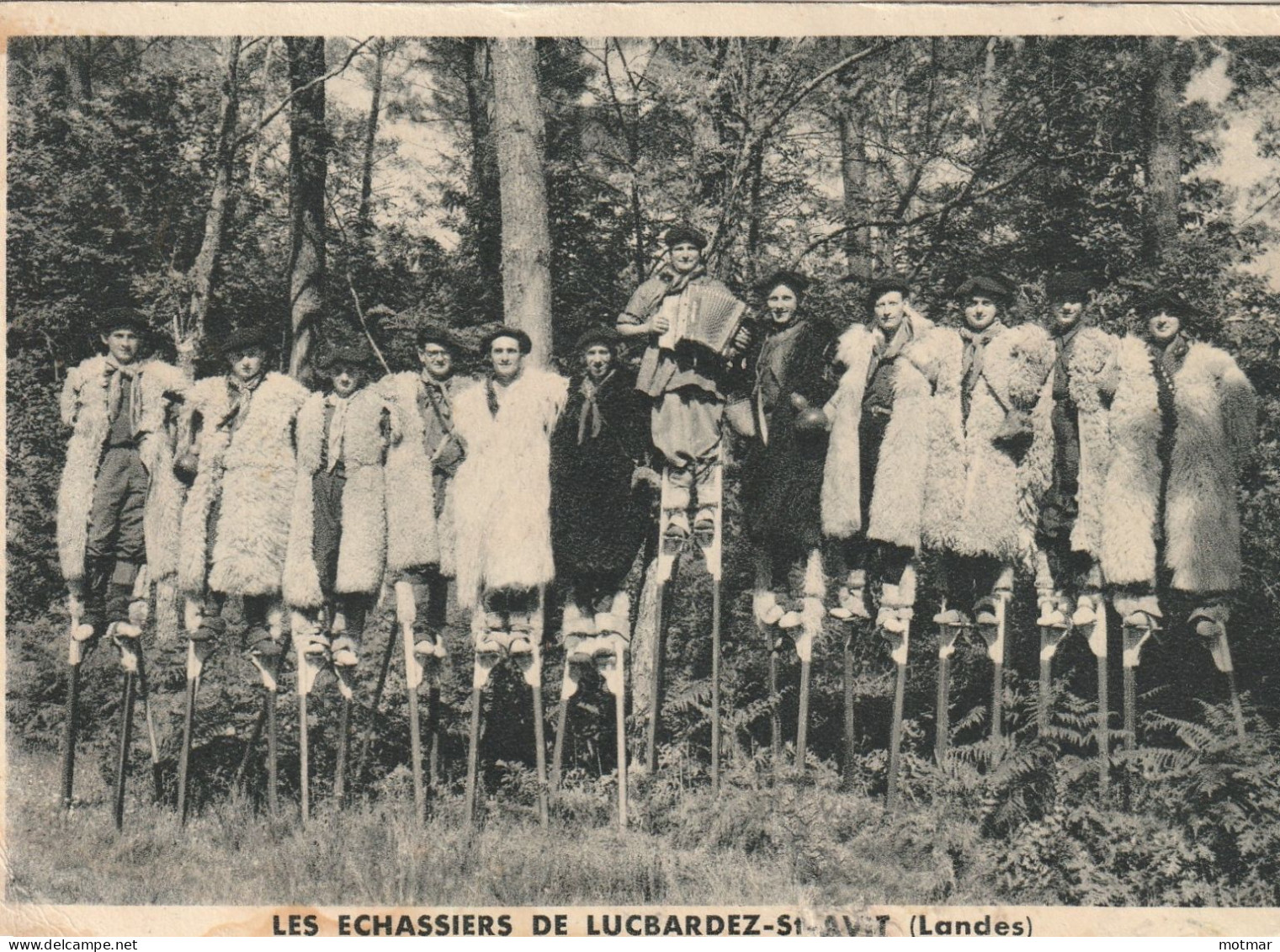 Les échassiers De LUCBARDEZ-St-AVIT ; Accordéon - Altri & Non Classificati