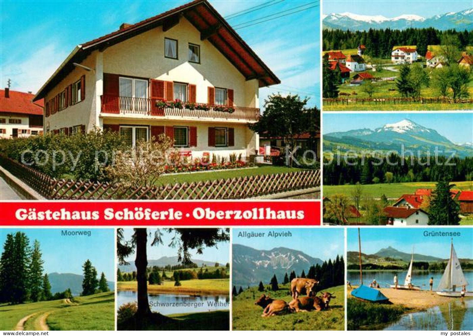 73746450 Oberzollhaus Gaestehaus Schoeferle Panorama Moorweg Schwarzenberger Wei - Sonstige & Ohne Zuordnung