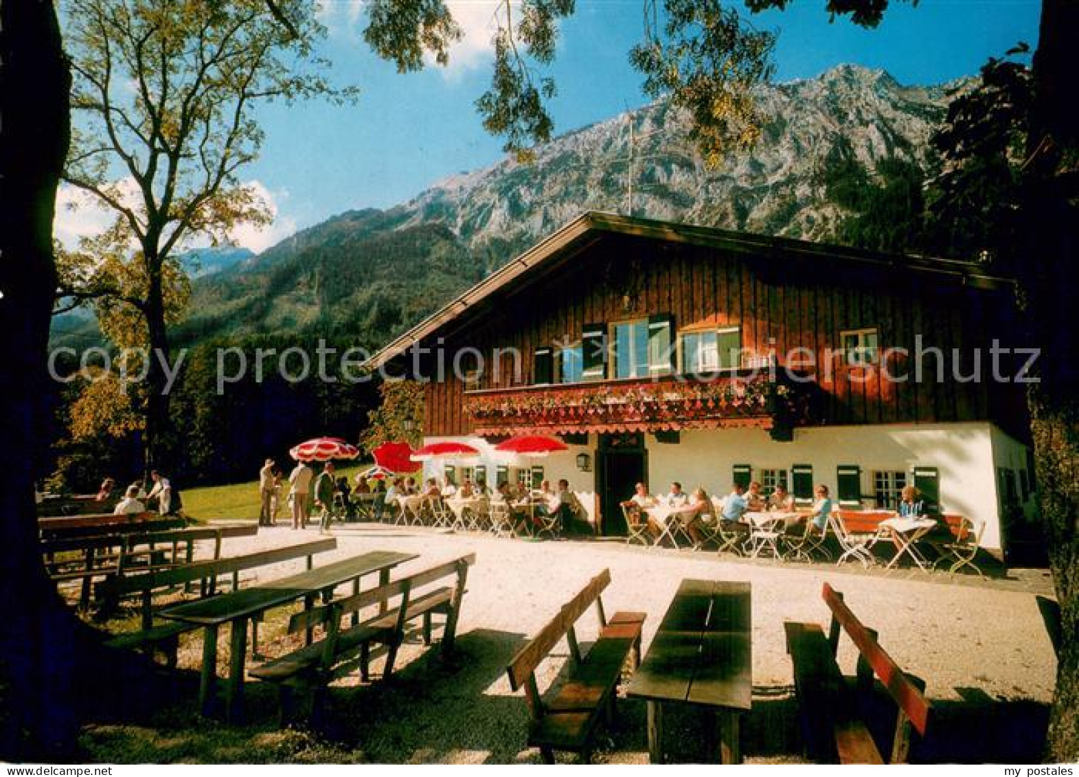 73746428 Bad Reichenhall Padingeralm Mit Hochstaufe Und Zwiesel Bad Reichenhall - Bad Reichenhall