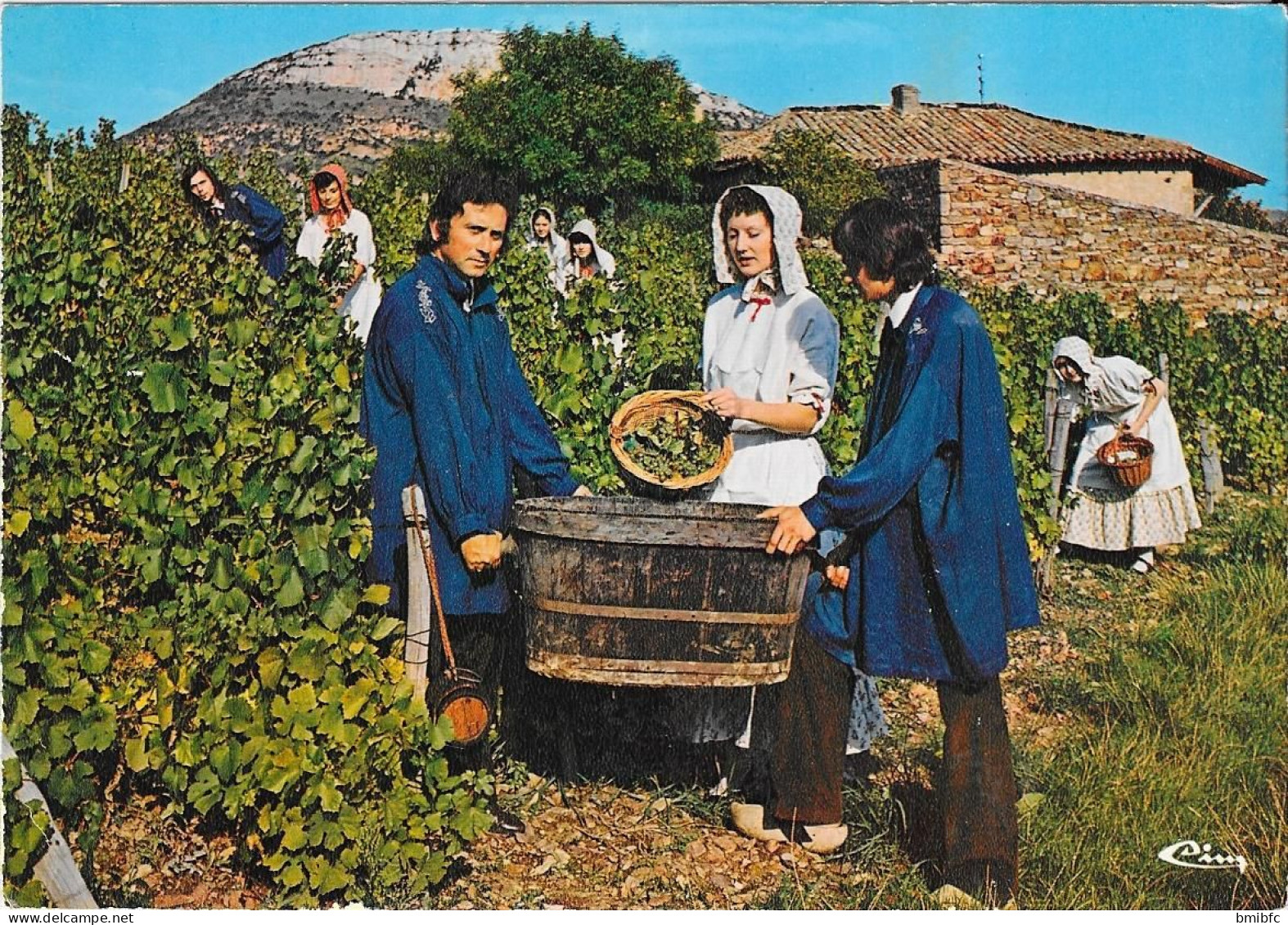 Le Groupe Folklorique "MATISCONIA" En Vendanges à Vergisson - Altri & Non Classificati