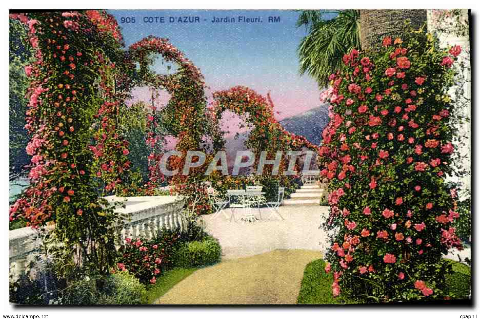 CPA Cote D&#39Azur Jardin Fleuri - Other & Unclassified