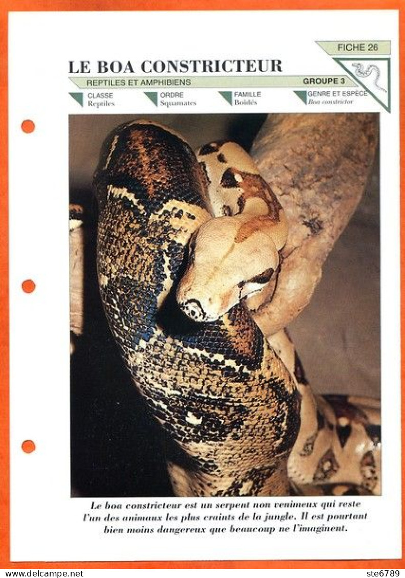 BOA CONSTRICTEUR  Serpent  Animal  Illustrée Documentée Animaux Fiche Dépliante - Dieren