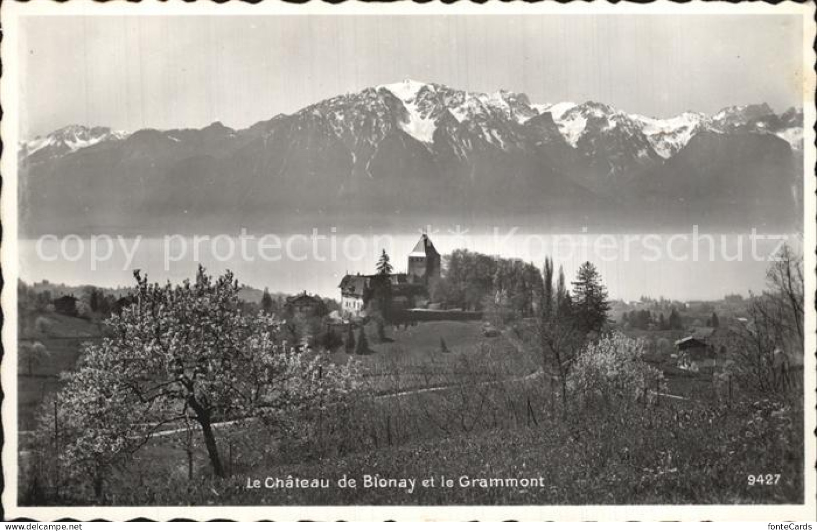 12576843 Blonay Le Chateau De Blonay Et Le Grammont Blonay - Other & Unclassified