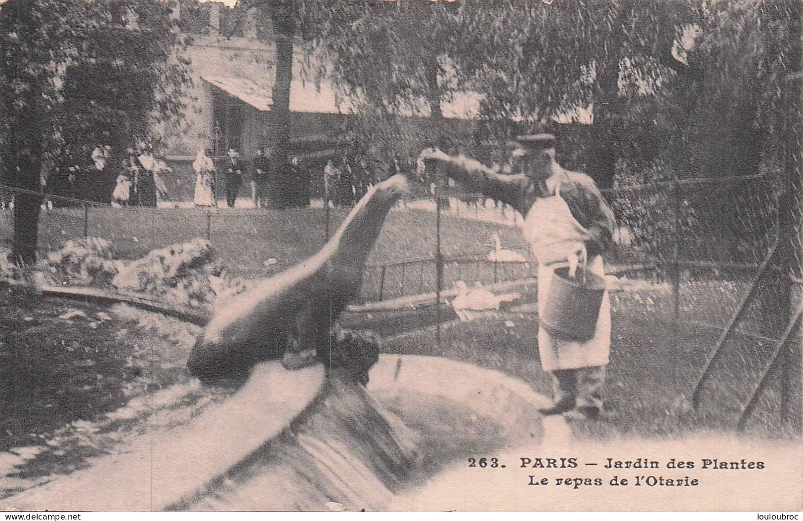 PARIS  JARDIN DES PLANTES LE REPAS DE L'OTARIE - Parken, Tuinen