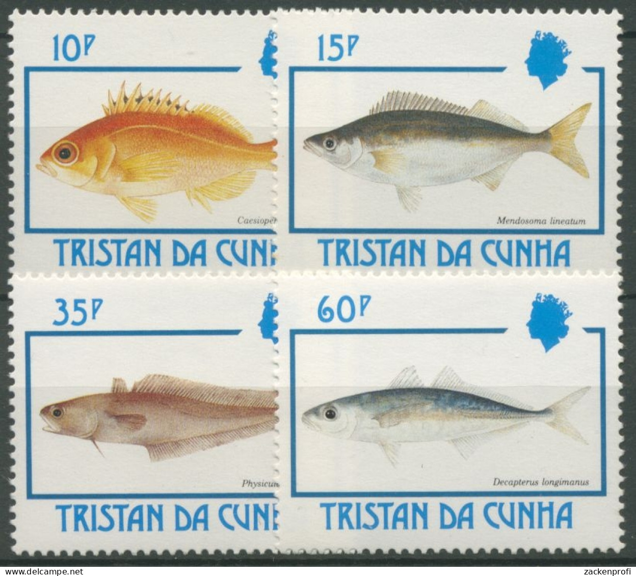 Tristan Da Cunha 1992 Fische Makrele 526/29 Postfrisch - Tristan Da Cunha
