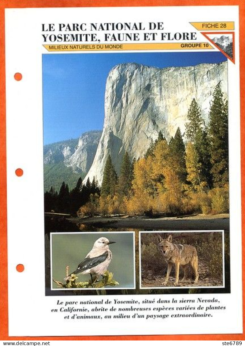 LE PARC NATIONAL DE YOSEMITE Faune Et Flore  Illustrée Documentée Animaux  Fiche Dépliante - Animaux