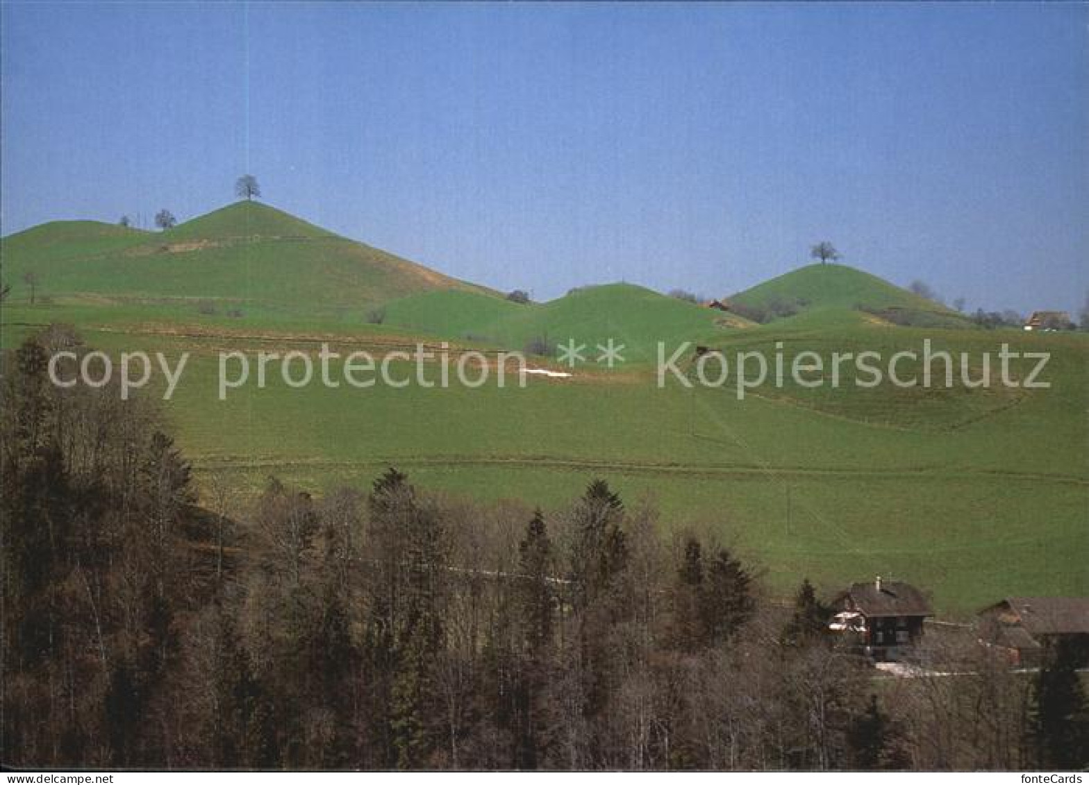 12576754 Sihlgraben Landschaftspanorama Sihlgraben - Other & Unclassified