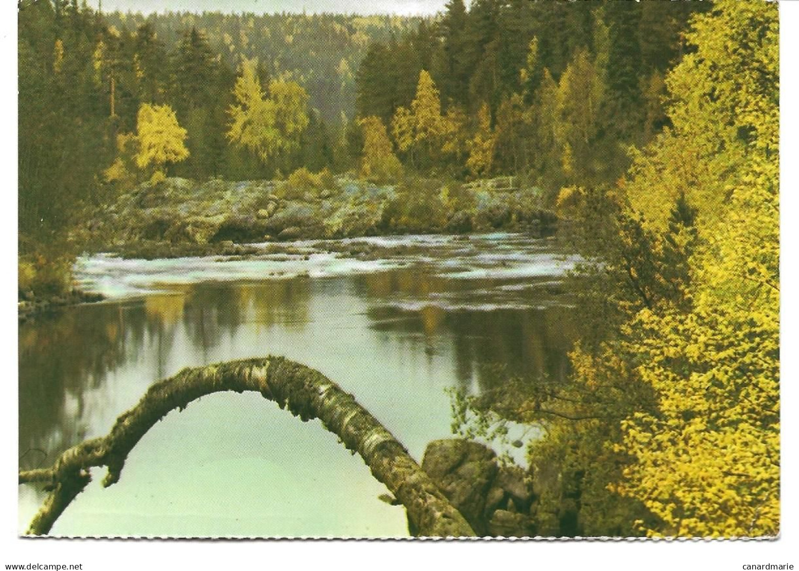 CARTE POSTALE POUR L'ALLEMAGNE  1963  AVEC CACHET DE ROVANIEMI - Briefe U. Dokumente