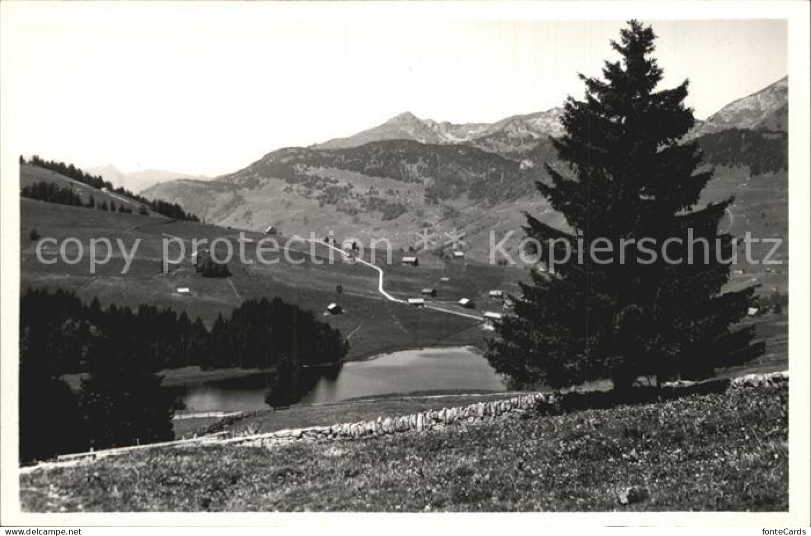 12574992 Wildhaus SG Am Schwendisee Wildhaus Lisighaus - Sonstige & Ohne Zuordnung