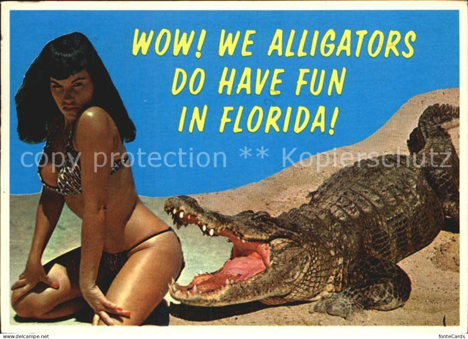 12573788 Florida_US-State Alligator  - Sonstige & Ohne Zuordnung