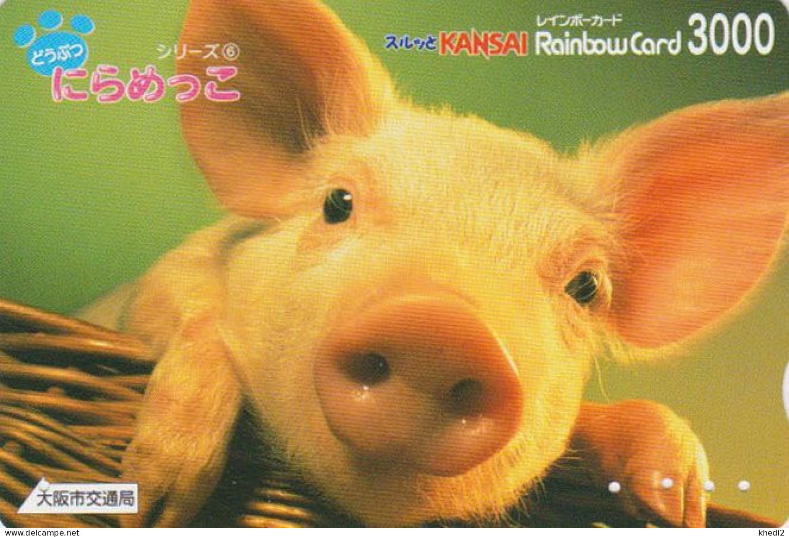 Carte JAPON - ANIMAL Serie Pattes 6/7 - COCHON - PIG JAPAN Kansai Rainbow  Card -  SCHWEIN - FR 221 - Sonstige & Ohne Zuordnung