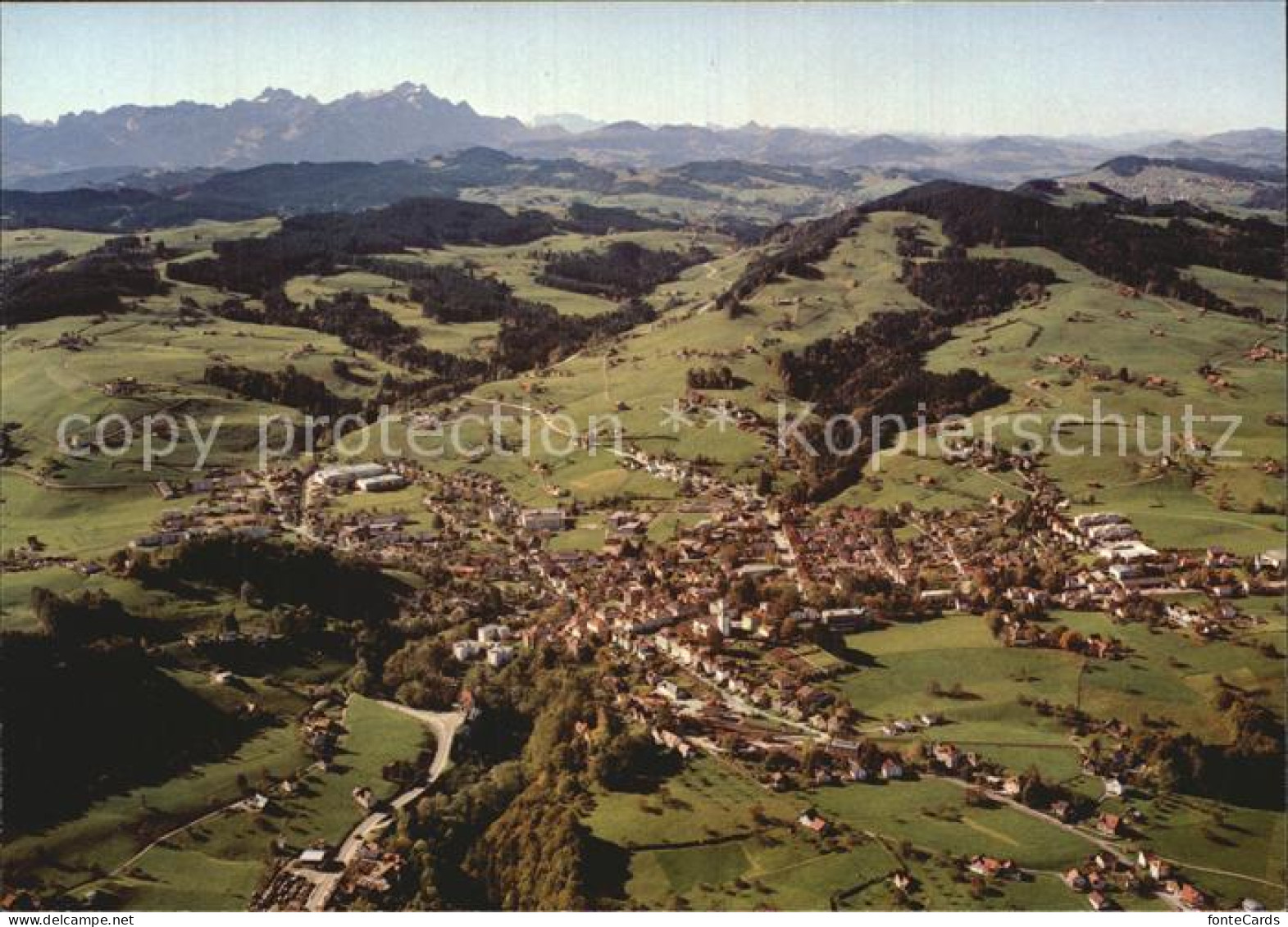 12563631 Heiden AR Fliegeraufnahme Ueber Bodensee Heiden - Sonstige & Ohne Zuordnung