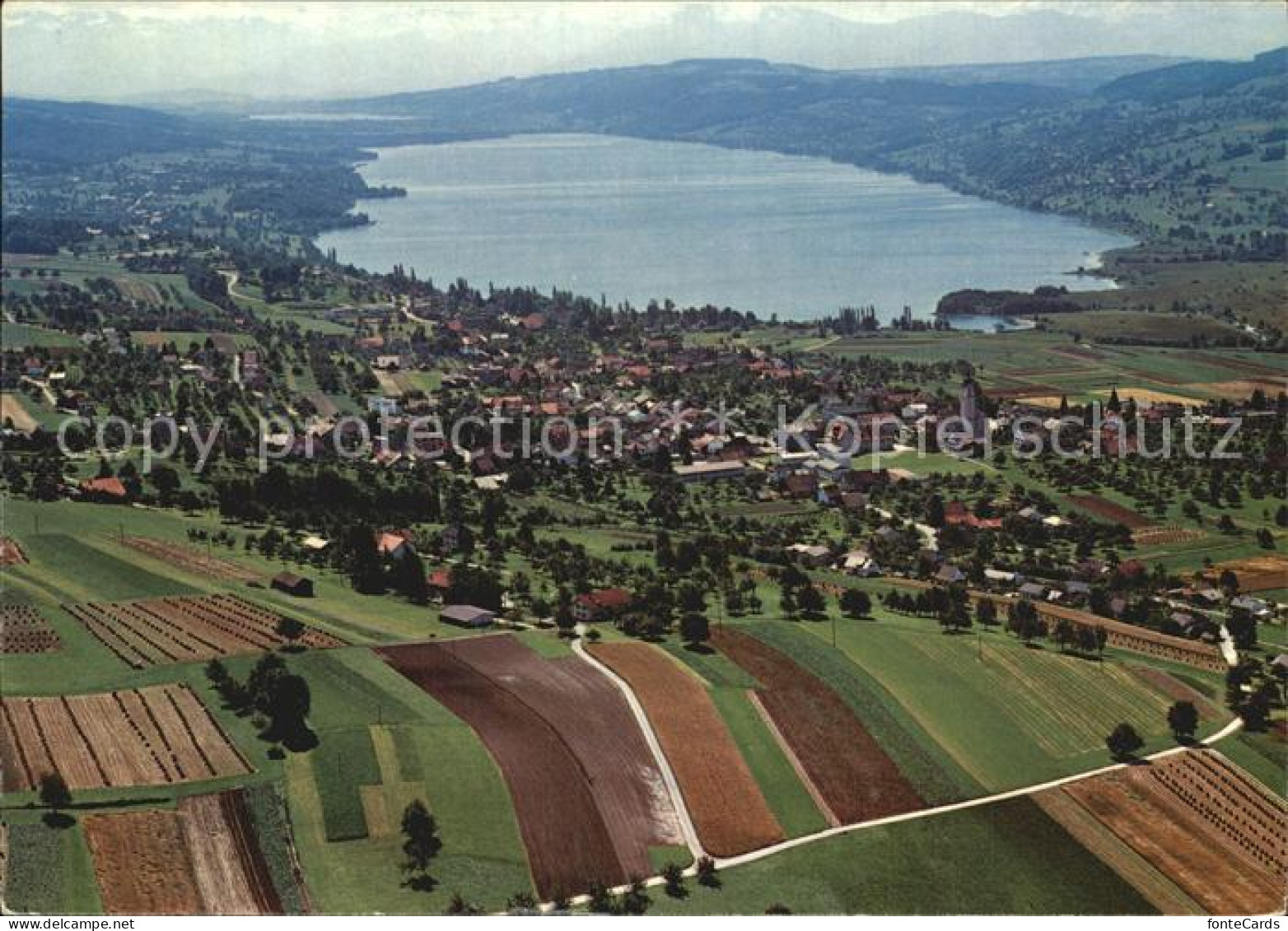 12542944 Hallwilersee Fliegeraufnahme Hallwil - Other & Unclassified