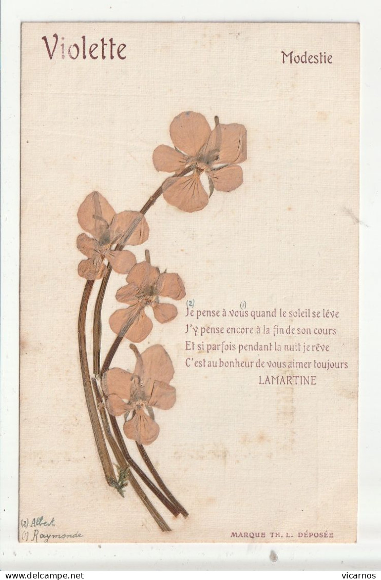 CP FLEURS SECHEES Violette Poême De Lamartine Modestie - Flowers