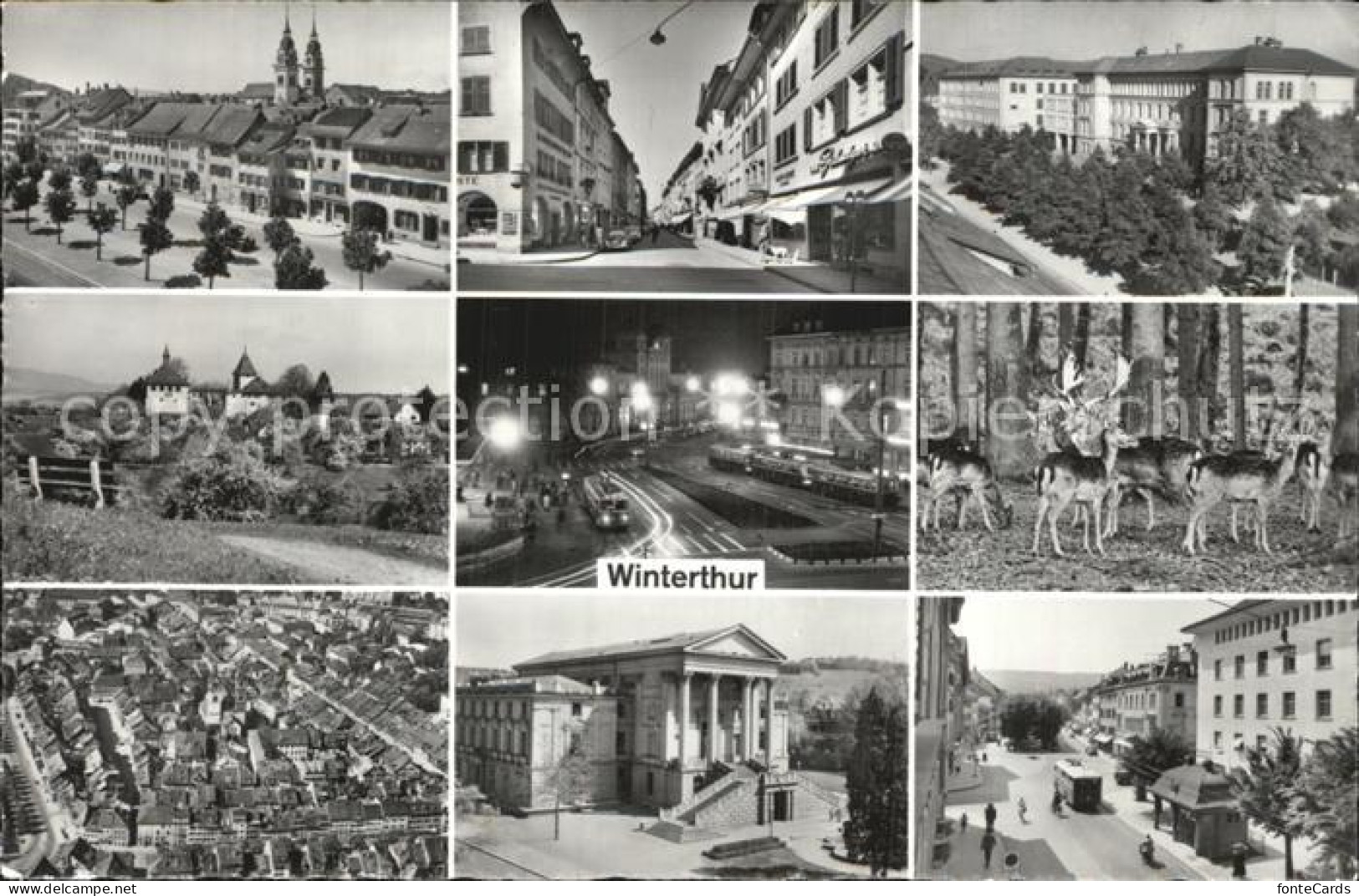 12539503 Winterthur ZH Fliegeraufnahme Ortspartien Wild Winterthur - Andere & Zonder Classificatie