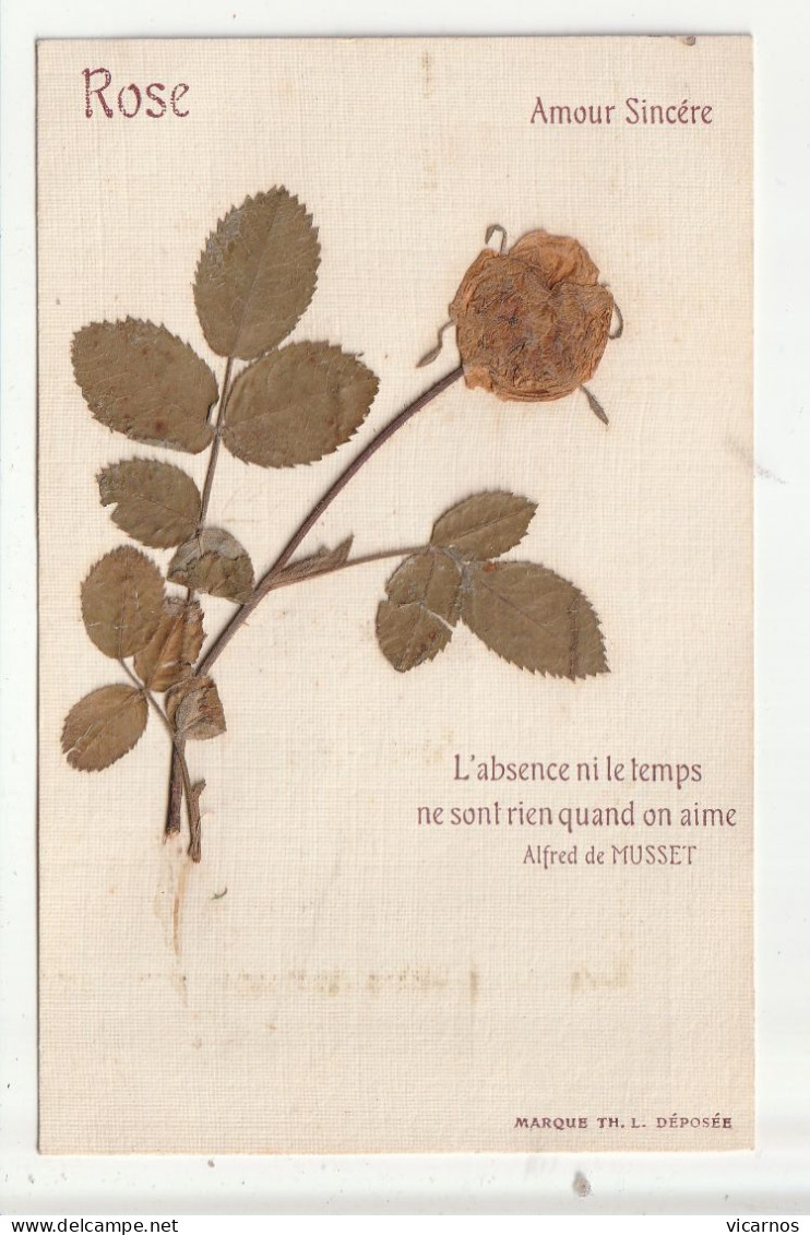 CP FLEURS SECHEES Rose  Poême De Alfred De Musset Amour Sincere - Fleurs