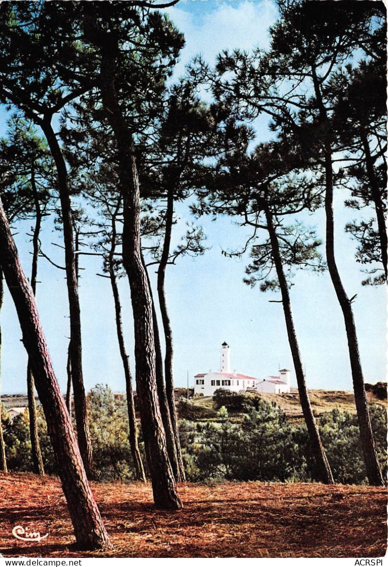 LA TRANCHE SUR MER La Foret De Pins Vers Le Phare 30(scan Recto-verso) MA2112 - La Tranche Sur Mer