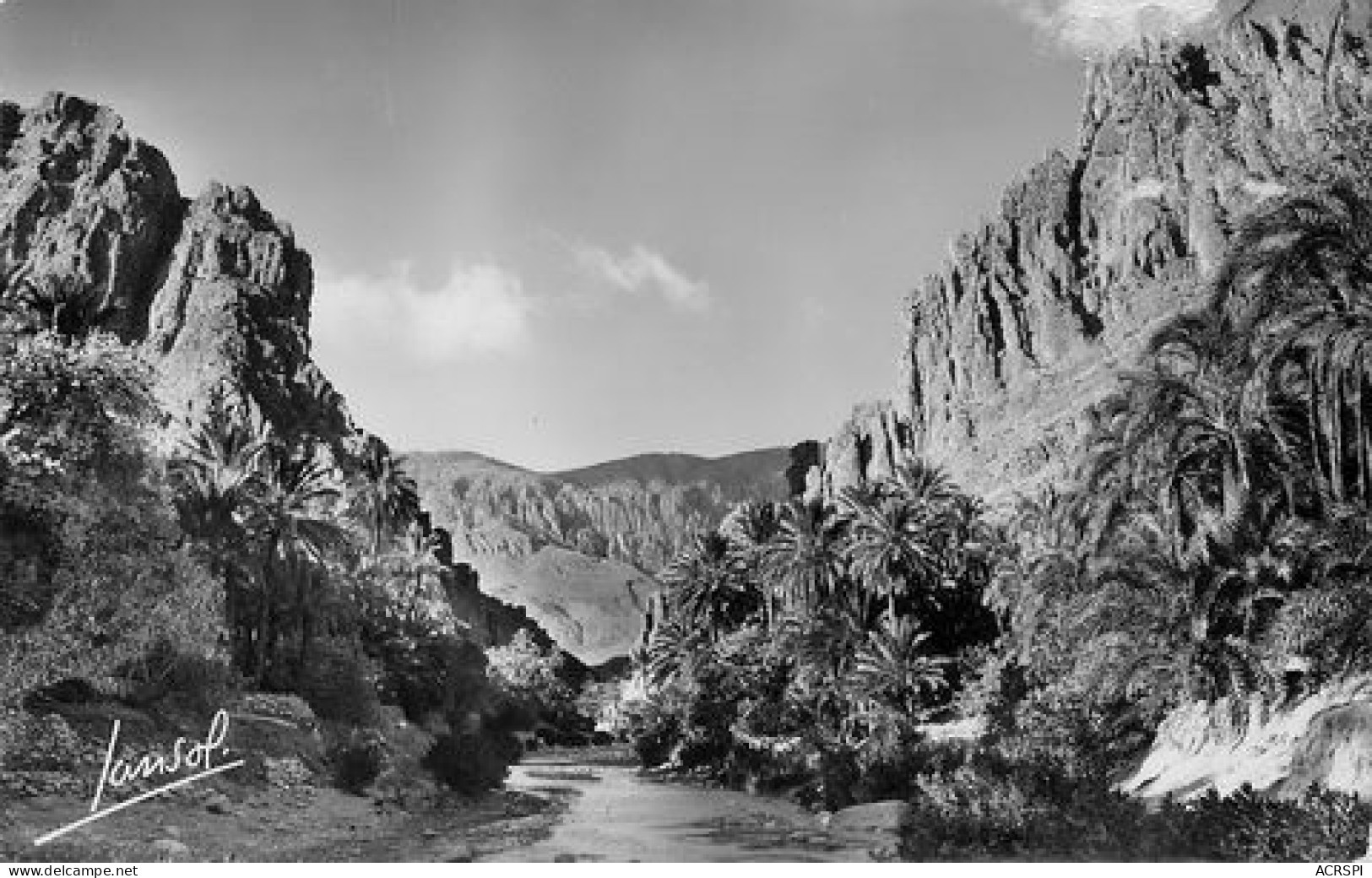 Algerie Biskra Aux Portes Du Desert  57 (scan Recto-verso)MA2111Bis - Sonstige & Ohne Zuordnung