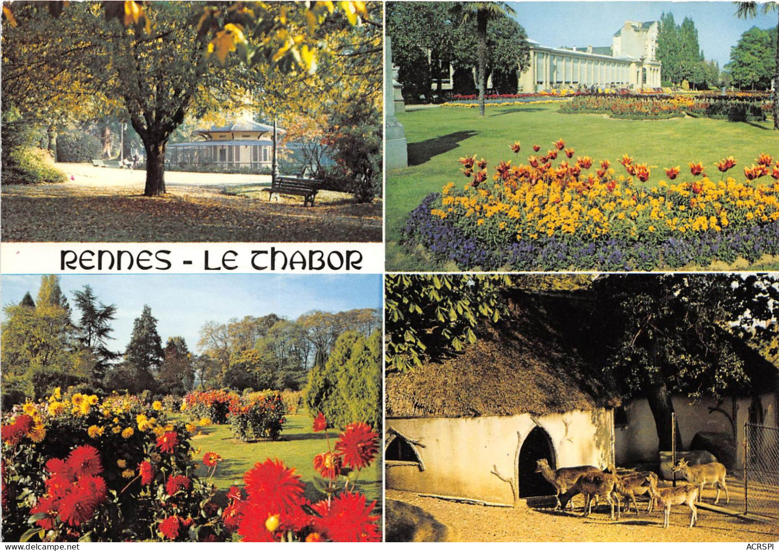 RENNES Le Jardin Du Thabor Au Printemps Et A La Toussaint 24(scan Recto-verso) MA2111 - Rennes