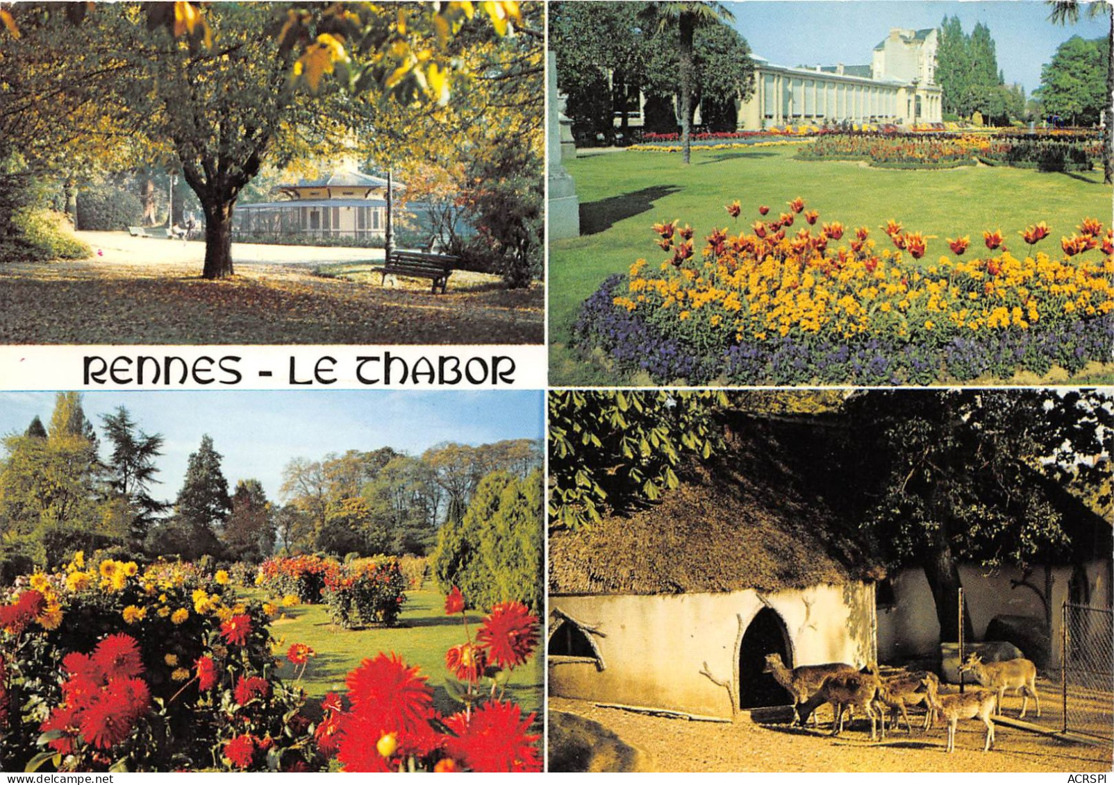 RENNES Le Jardin Du Thabor Au Printemps Et A La Toussaint 1(scan Recto-verso) MA2111 - Rennes