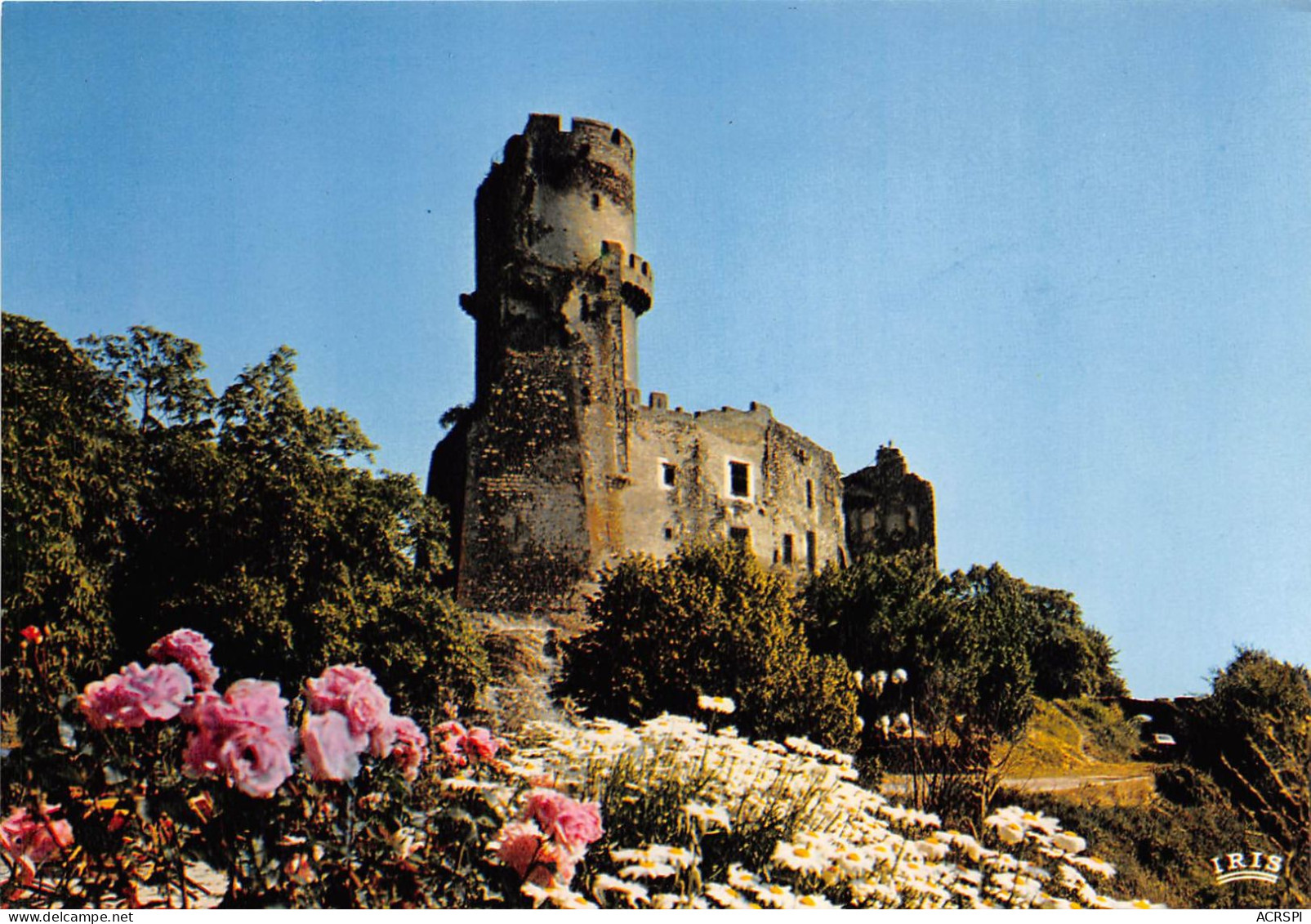 Environs De CHATELGUYON Chateau De Tournoel 5(scan Recto-verso) MA2109 - Châtel-Guyon