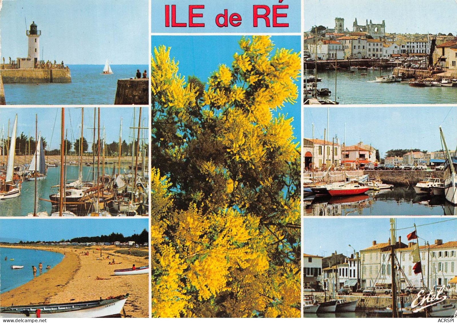 ILE DE RE La Flotte Saint Martin Ars Saint Martin Rivedoux La Flotte 5(scan Recto-verso) MA2105 - Ile De Ré