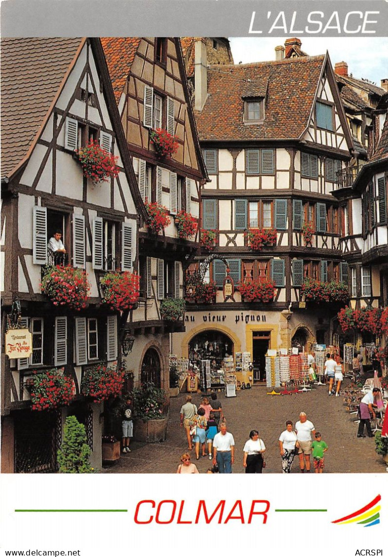 COLMAR La Rue Des Marchands 14(scan Recto-verso) MA2104 - Colmar