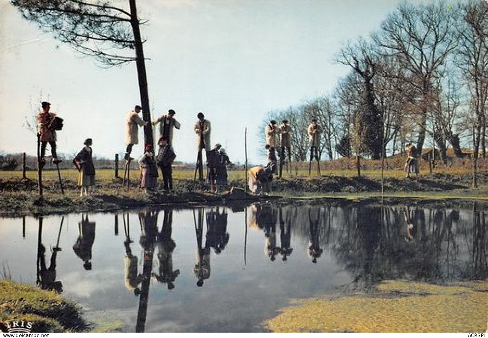 Folklore LANDAIS Echassiers Au Bord Du Lac LANDES  8 (scan Recto Verso)MA2100BIS - Aquitaine