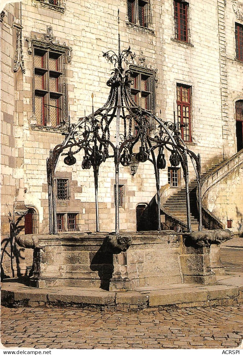 NANTES Le Chateau Dses Ducs De Bretagne Le Puits Est Surmonte D Une Armature De Fer Forge 13(scan Recto-verso) MA2120 - Nantes