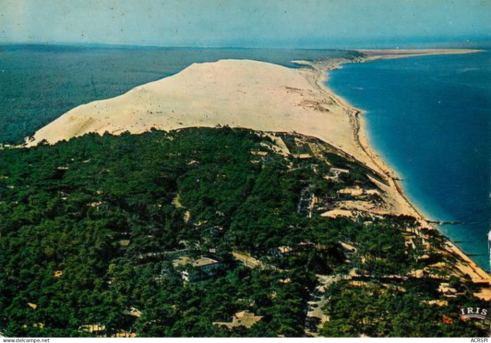 ARCACHON La Dune Du PILAT  Vue D'avion   31 (scan Recto-verso)MA2118Ter - Arcachon