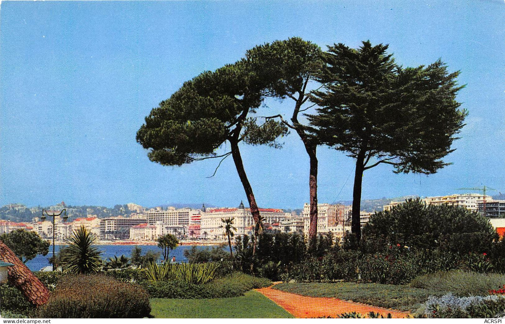 CANNES Vue Generale Prise Depuis Les Jardins Du  Palm Beach 27(scan Recto-verso) MA2116 - Cannes