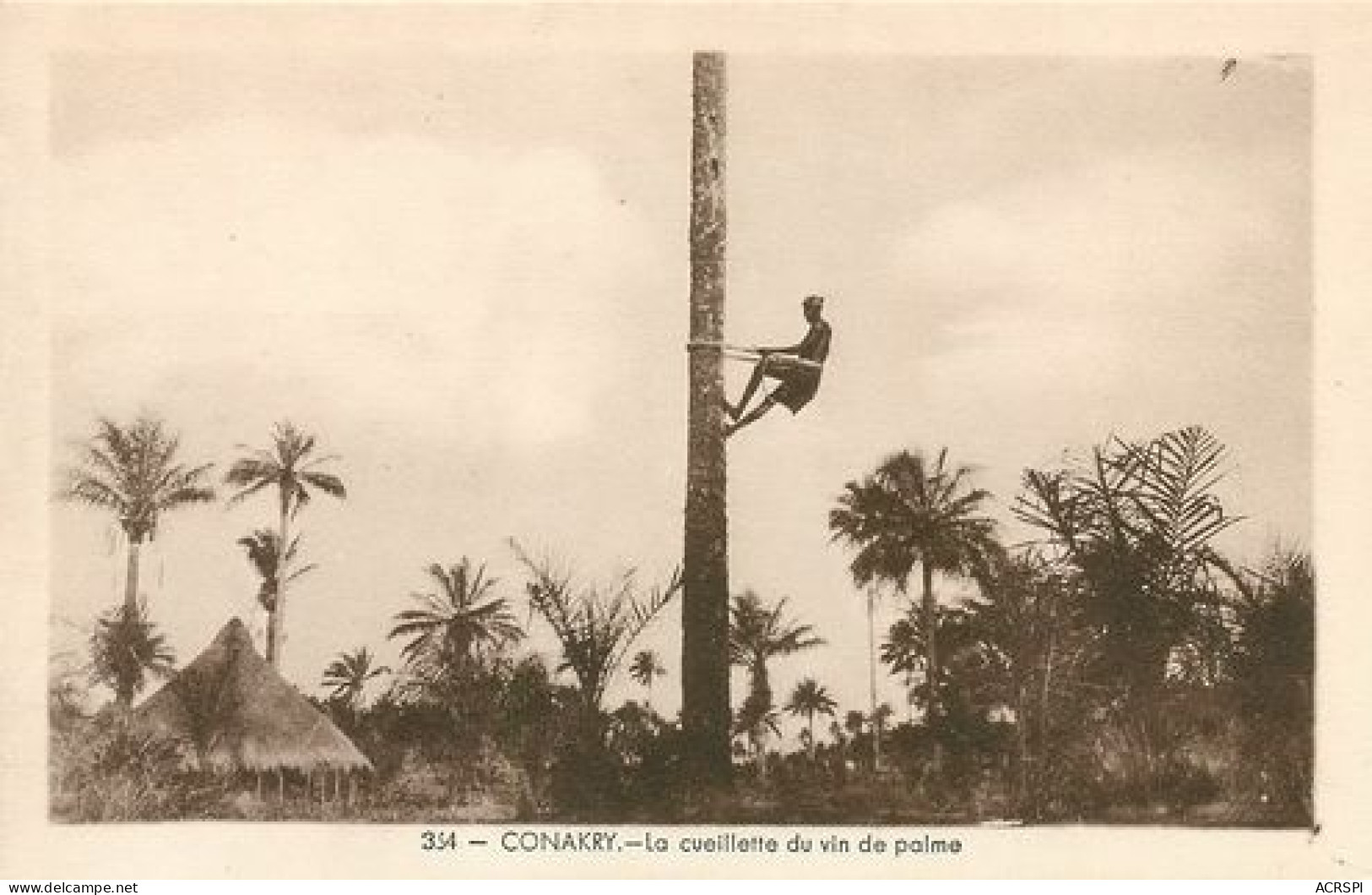 GUINÉE - CONAKRY - La Cueillette Du Vin De Palme  14   (scan Recto-verso)MA2114Bis - Französisch-Guinea