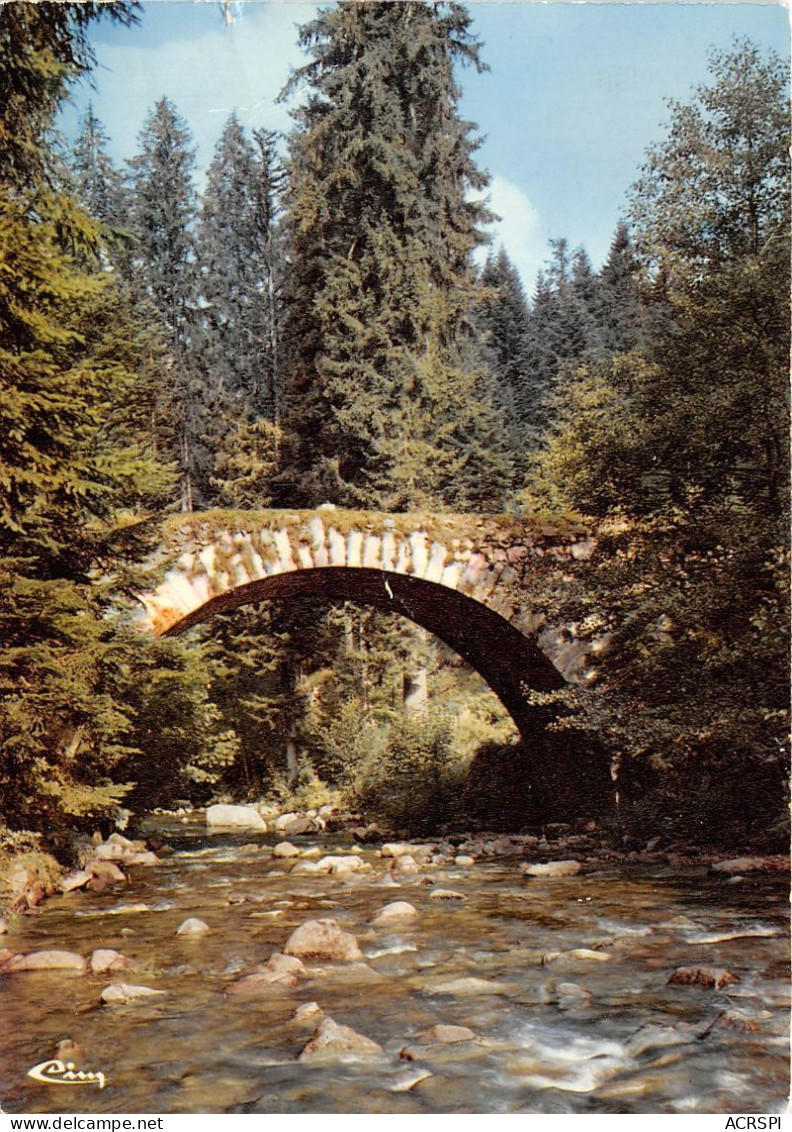 GERARDMER Le Pont Des Fees 30(scan Recto-verso) MA21132 - Gerardmer