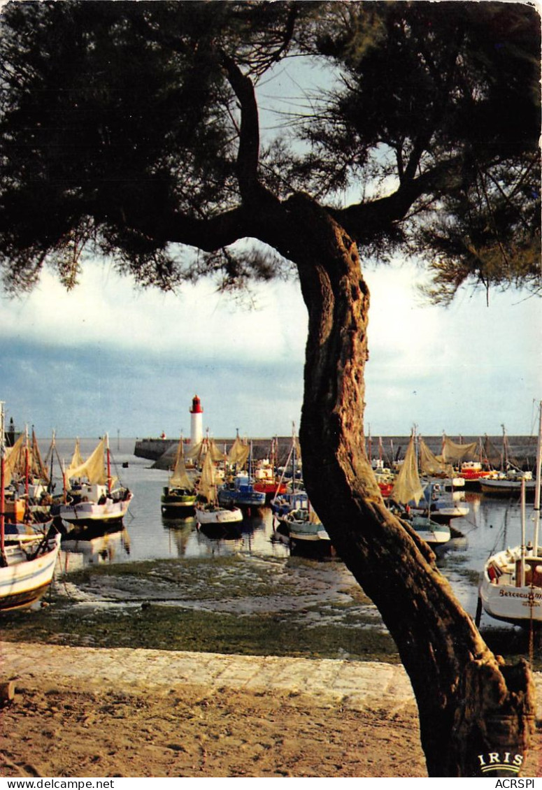 ILE D OLERON Le Port De La Cotiniere 20(scan Recto-verso) MA2130 - Ile D'Oléron