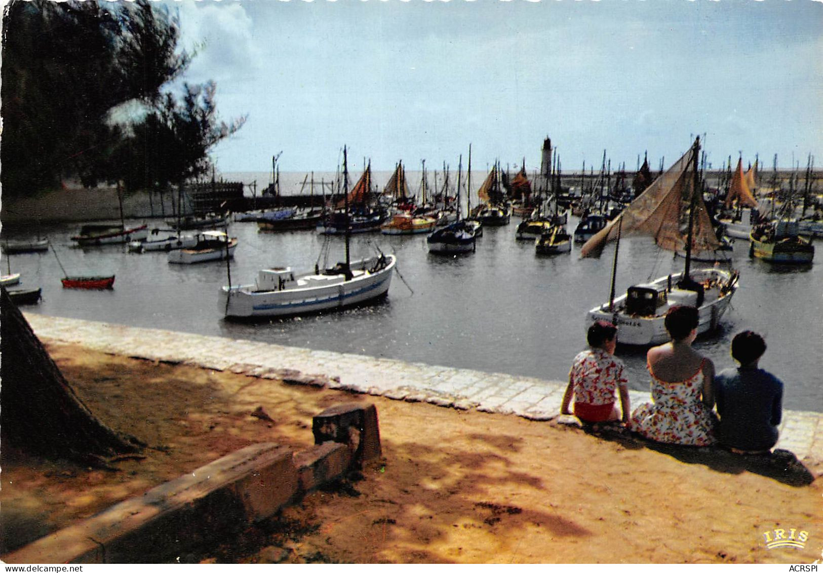 ILE D OLERON Le Port De La Cotiniere 21(scan Recto-verso) MA2130 - Ile D'Oléron