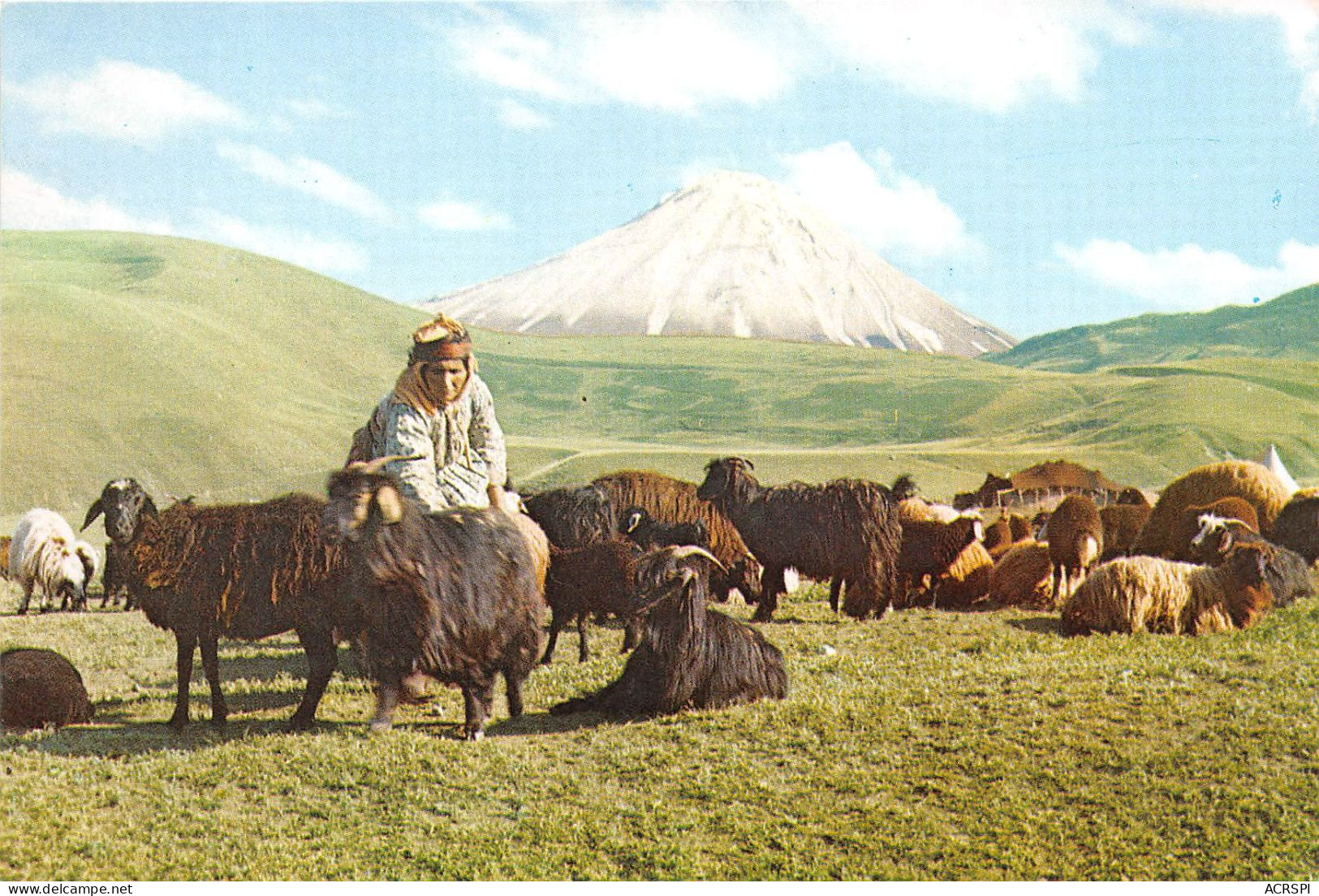 TURQUIE Agri 16(scan Recto-verso) MA2146 - Turquie