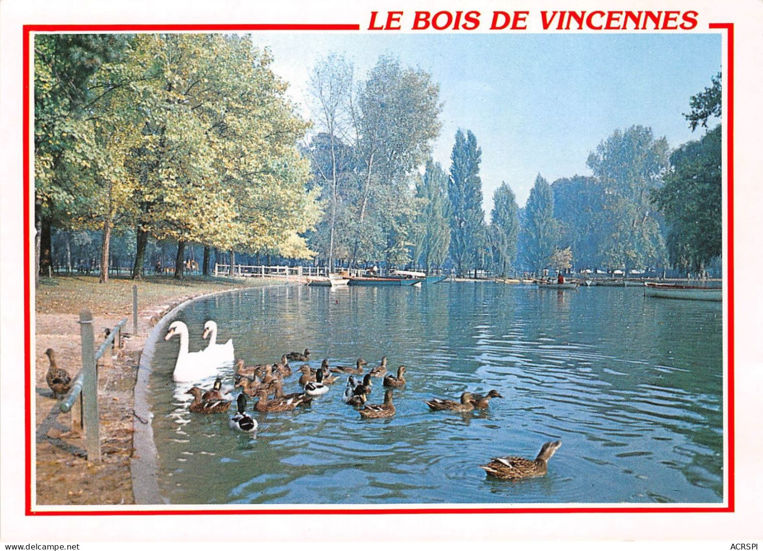 LE BOIS DE VINCENNES 29(scan Recto-verso) MA2140 - Vincennes