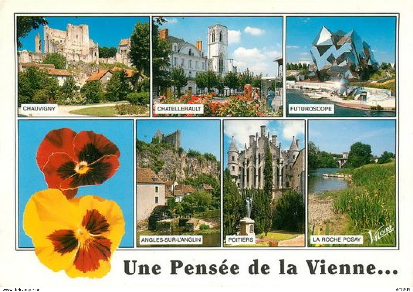 Une PENSEE De La VIENNE  50   (scan Recto-verso)MA2166Ter - Poitiers