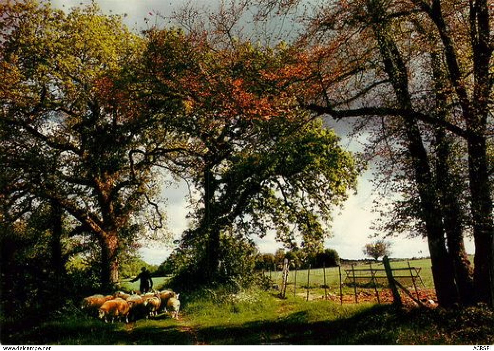 VIENNE Scene Pastorale Berger Et Moutons  39   (scan Recto-verso)MA2166Ter - La Roche Posay