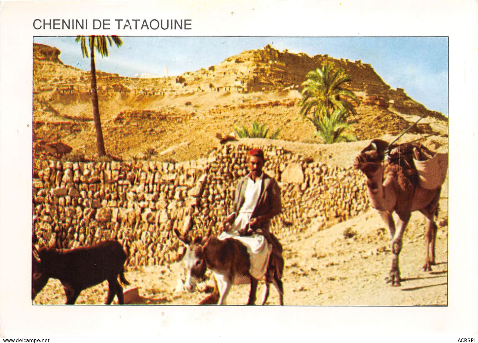 TUNISIE Chenine De Tataouine 30(scan Recto-verso) MA2163 - Tunisia