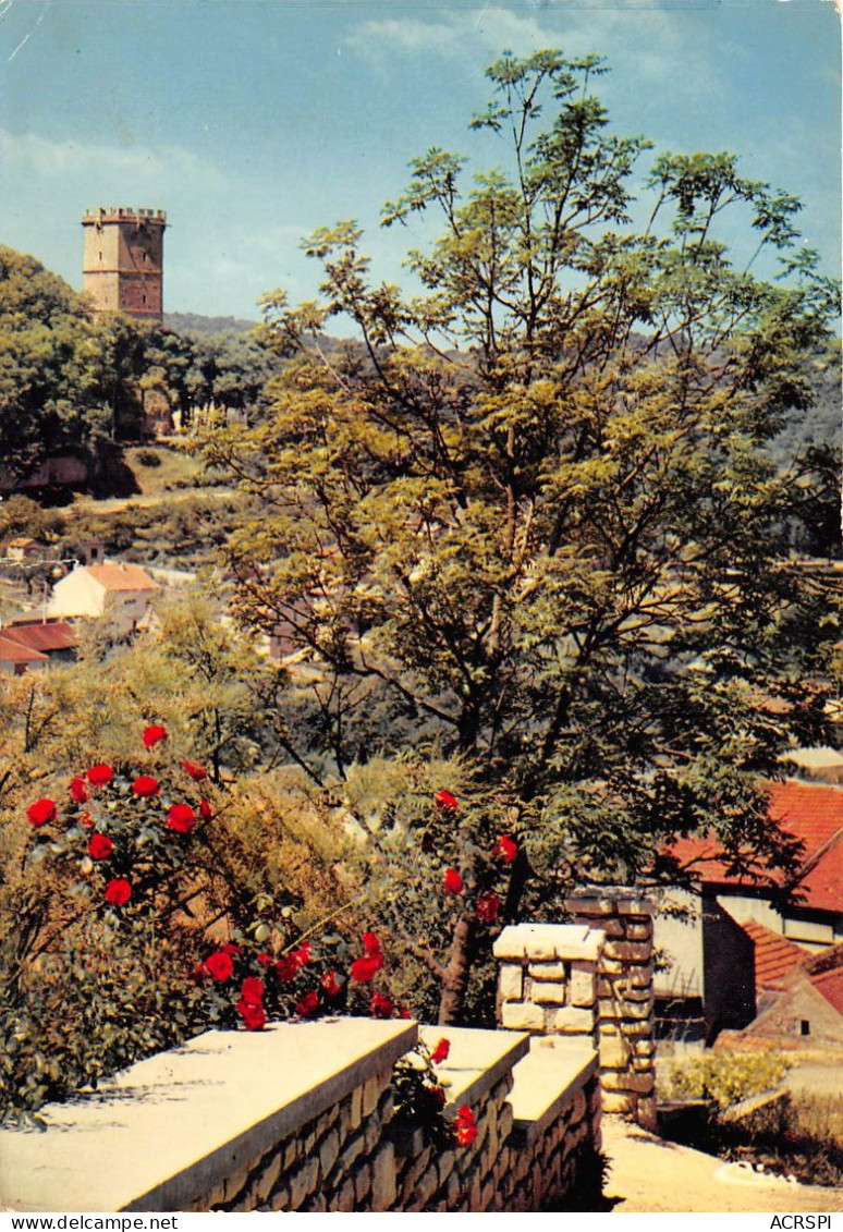 MONTBARD Vue Sur La Tour De L Aubespin 3(scan Recto-verso) MA2161 - Montbard