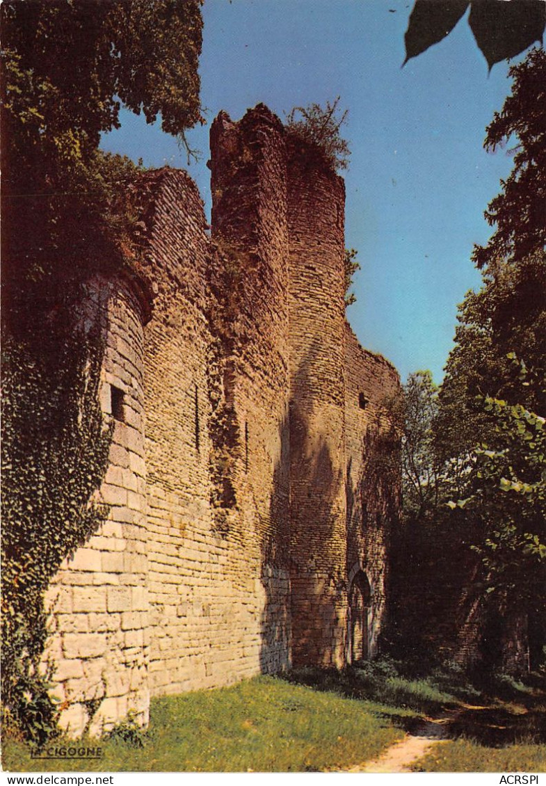 CHATILLON SUR SEINE Ruines Du Chateau Des Ducs De Bourgogne 20(scan Recto-verso) MA2161 - Chatillon Sur Seine