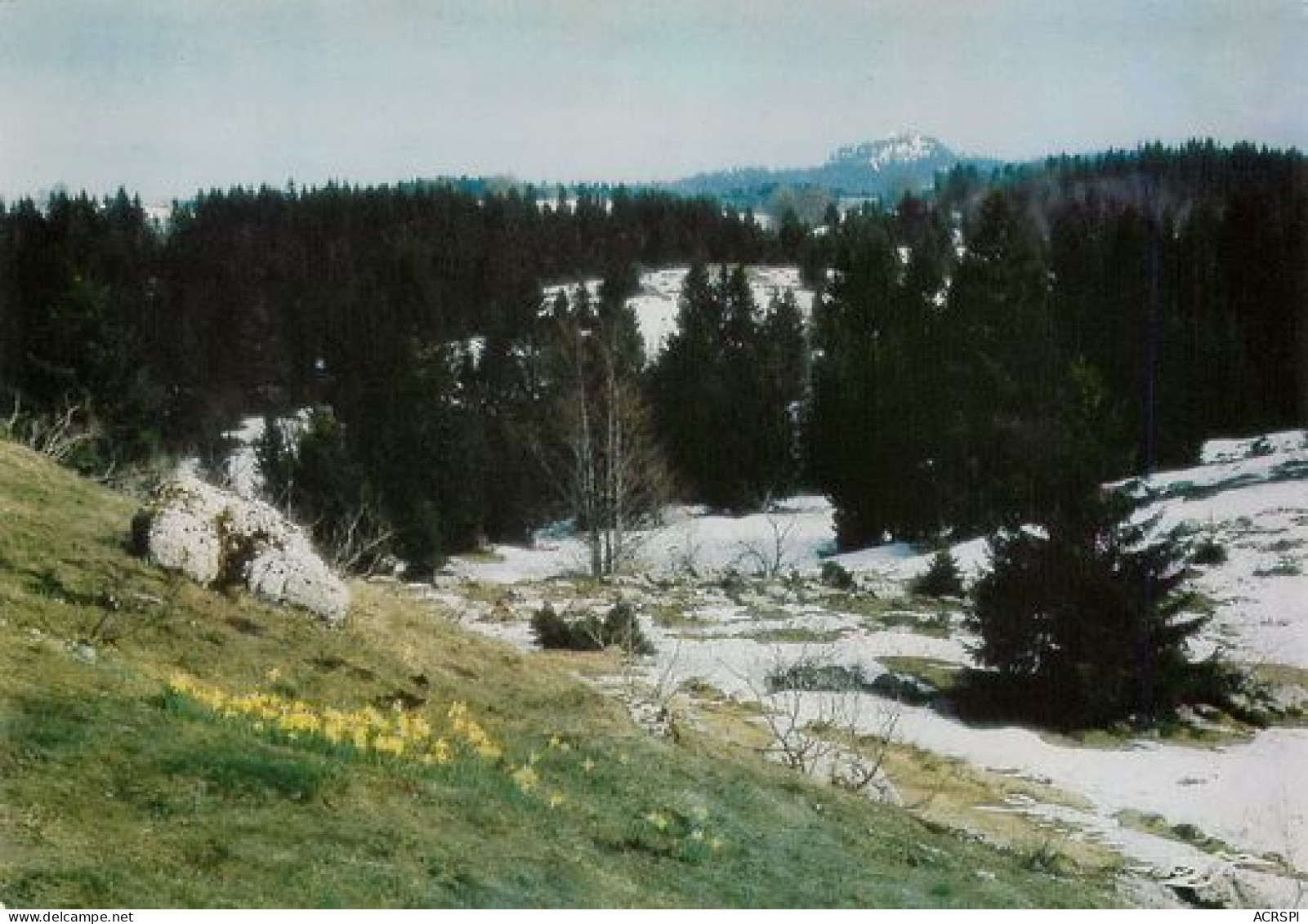 Chézery-Forens    Crêt De Chalame    40 MA2170Bis - Ohne Zuordnung