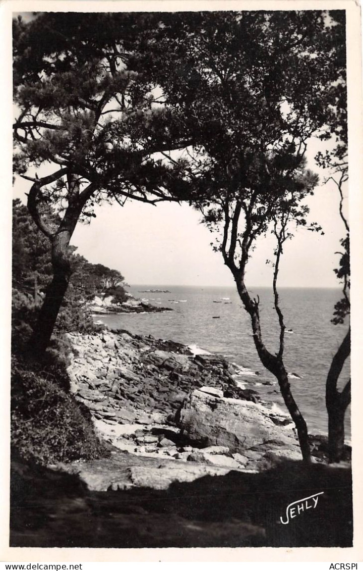 ILE DE NOIRMOUTIER La Cote Du Bois De La Chaize 2(scan Recto-verso) MA2170 - Ile De Noirmoutier