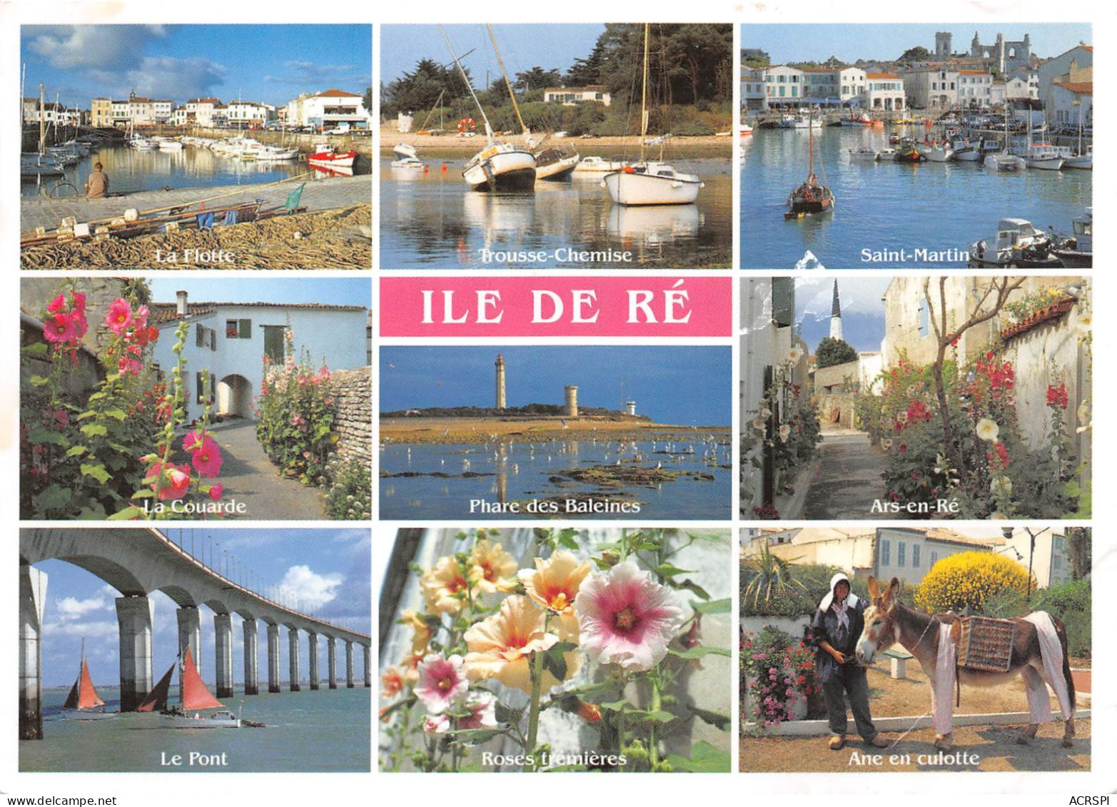 ILE DE RE Les Sites Touristiques 29(scan Recto-verso) MA2189 - Ile De Ré