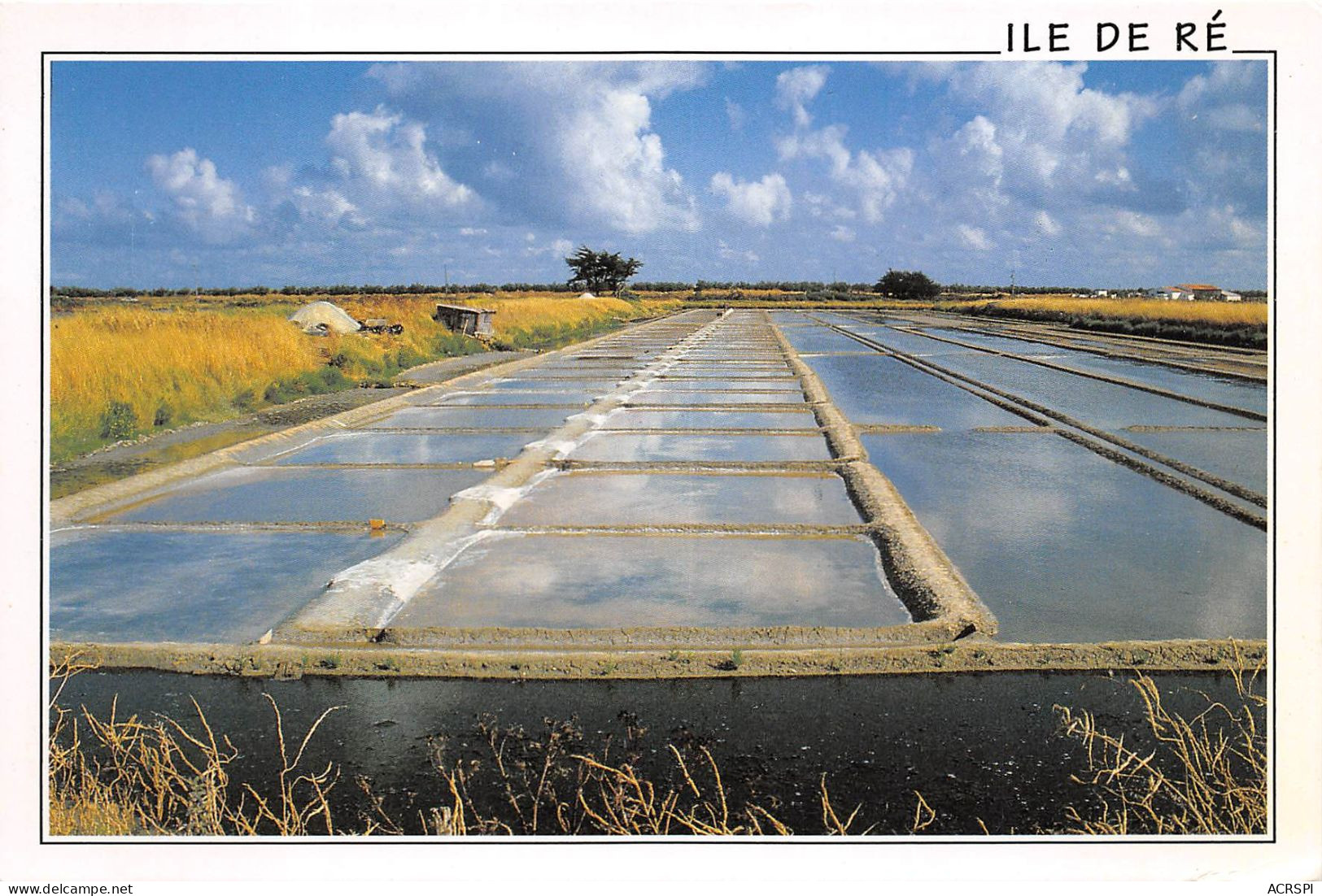 L ILE DE RE  Marais Salants 14(scan Recto-verso) MA2189 - Ile De Ré