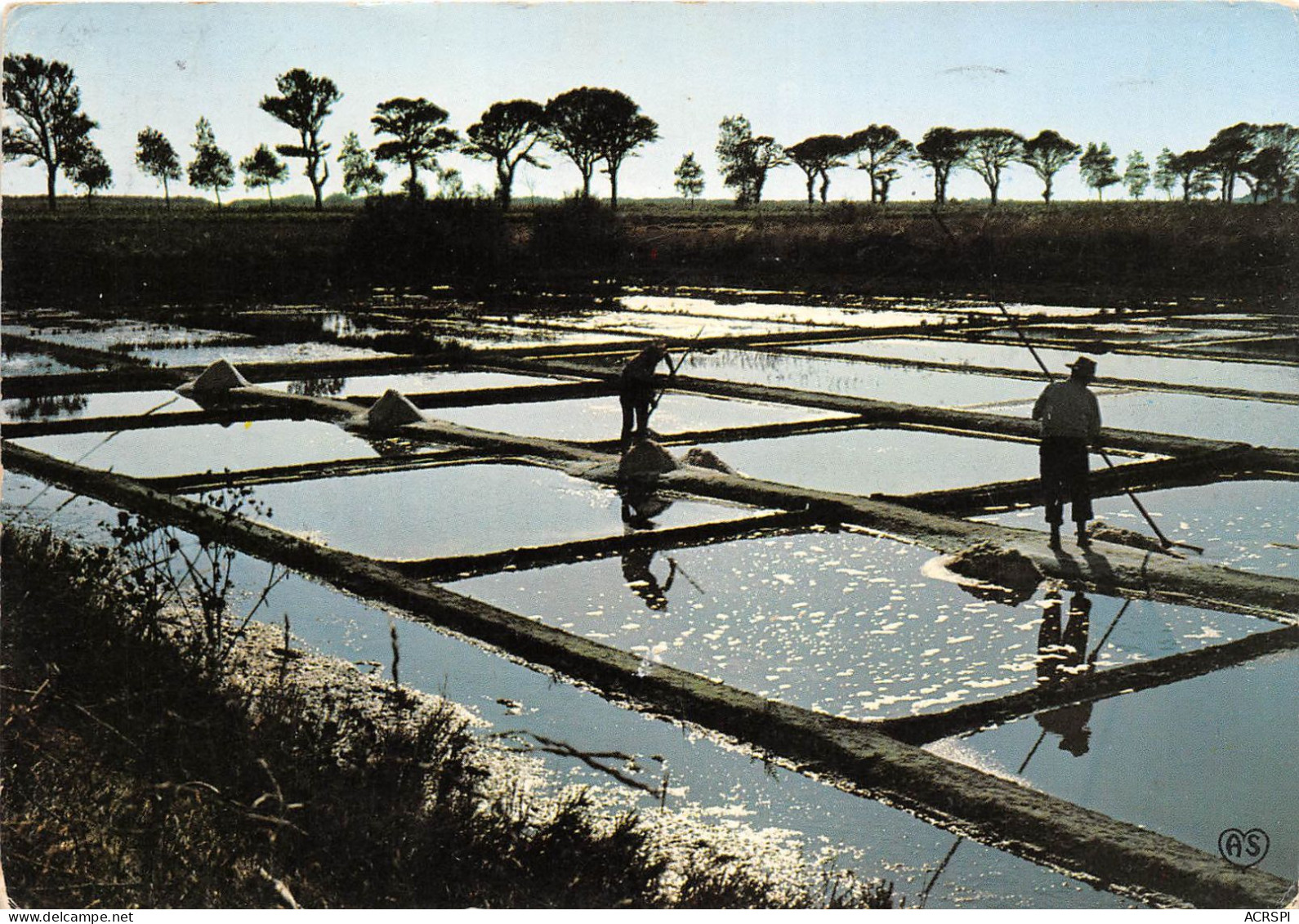 ILE DE RE Marais Salants Contre Jour 26(scan Recto-verso) MA2184 - Ile De Ré